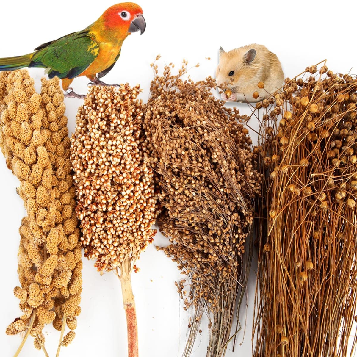 Fhiny Natural Hamster Bedding, Edible Hamster Sprays Flowers & Herbs Gerbil Habitat Enclosure Decor Grain Treats Cage Accessories for Dwarf Syrian Hamster Gerbil Mice Lemming Degus