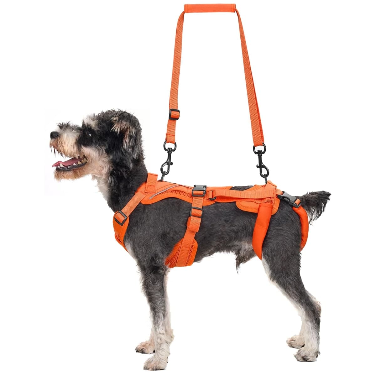OneTigris Lift Harness for Small Dogs XS, Dog Sling Carrier for Small Dogs to Help Lift and Walk, Outdoor Full Body Lift Harness with Reflective Straps, Dog Support Harness for Back Legs