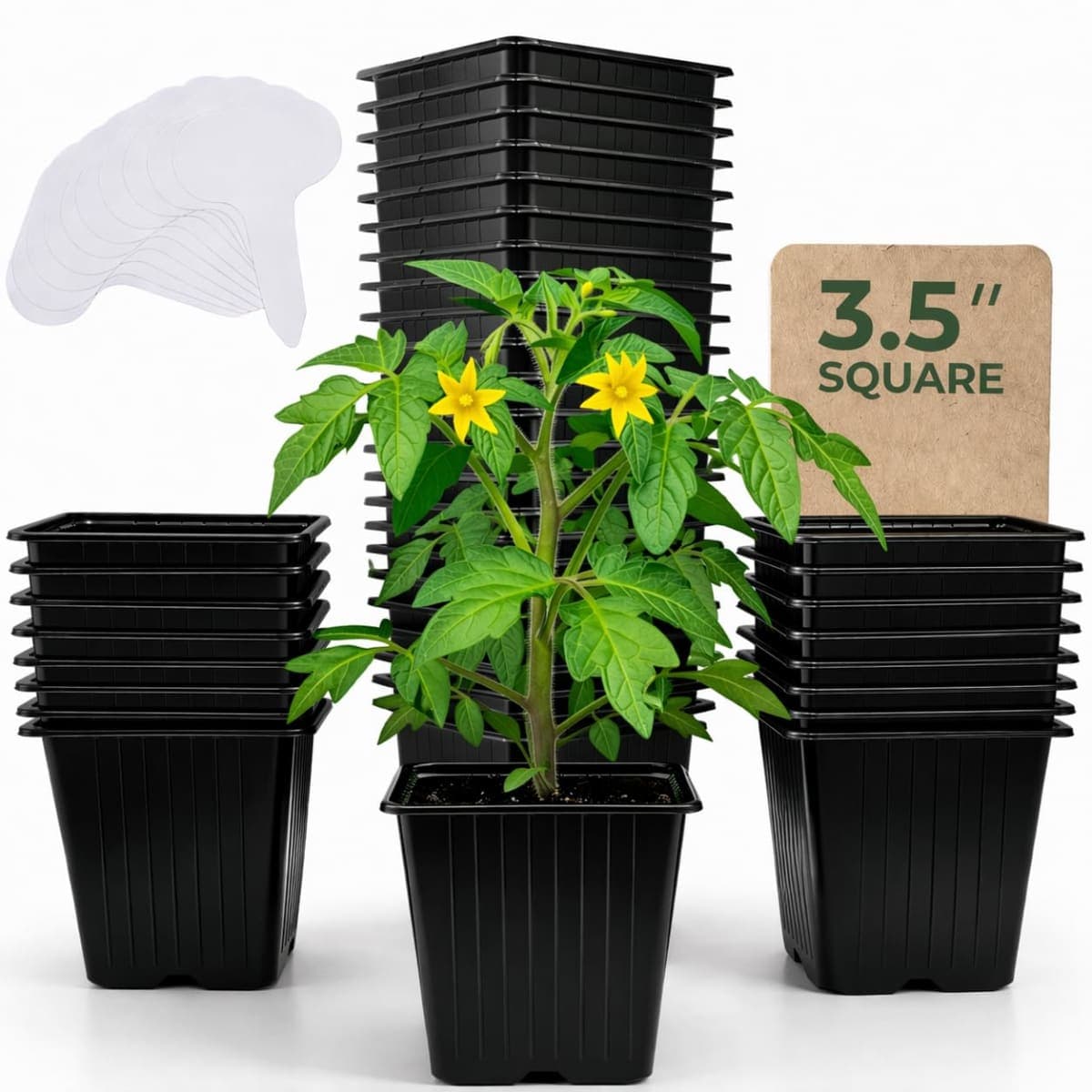 CARPATHEN 70Pack Square Nursery Pots - 3.8 Inch Sturdy Deep Plastic Seedling Pots - Reusable Seed Starter Pots for Plants, Succulent, Flowers, Vegetables - Plant Starter Pots and Sticker Labels