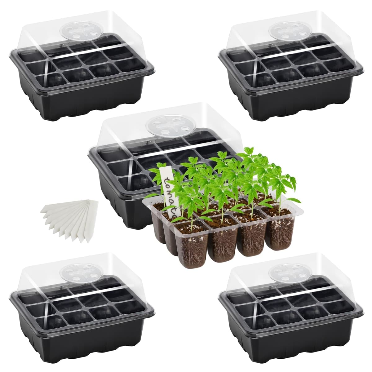 5-Pack Seed Starter Tray Seedling Kits,Plant Starter Kit with Adjustable Humidity Dome and Base Indoor Greenhouse Mini Propagator for Seeds Growing Starting (12 Cells per Tray，Black)