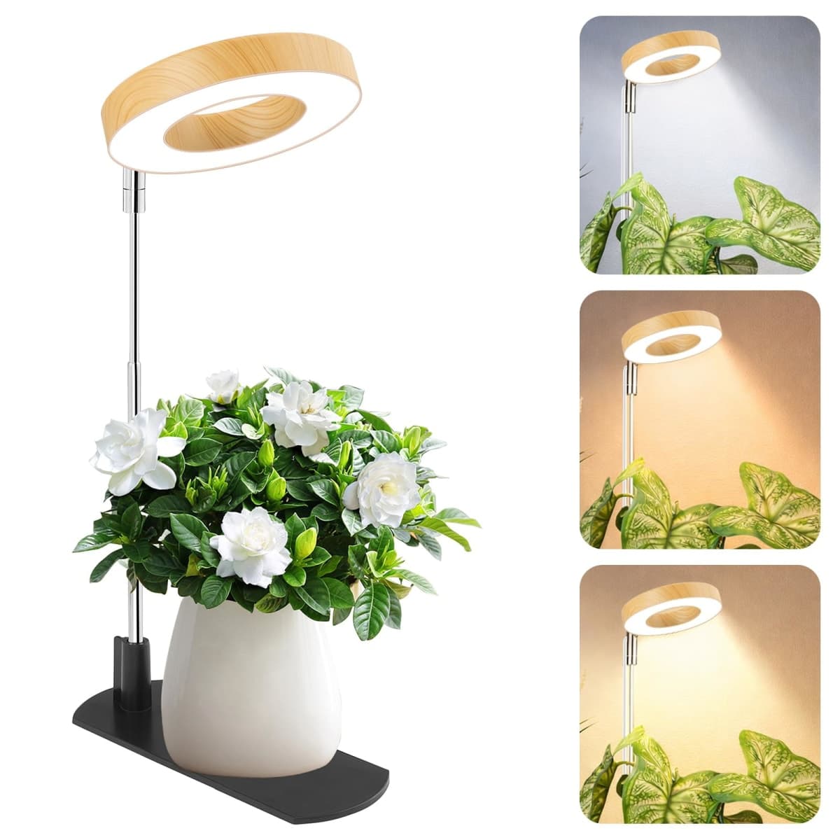 Grow Light for Indoor Plants, Full Spectrum Halo Plant Grow Light with Base, Height Adjustable Plant Growing Lamp with Auto On/Off Timer 4/8/12H, 4 Dimmable Brightness, for Small Plants, White