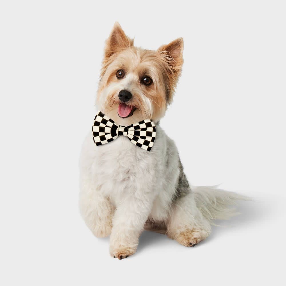 Checkerboard Cat and Dog Bowtie - Boots & Barkley™ - Black/White - One Size Fits Most